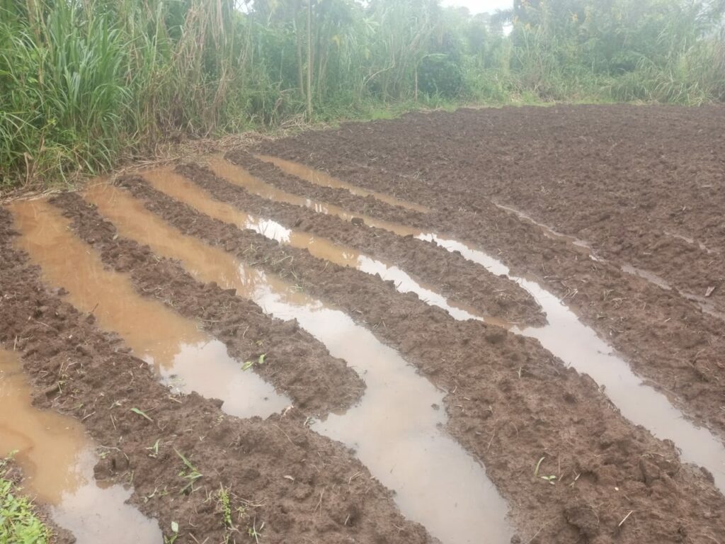 Mbanza-Ngungu : à Nkolo, des champs sous les eaux après une pluie torrentielle 5 IMG 20240423 WA0124
