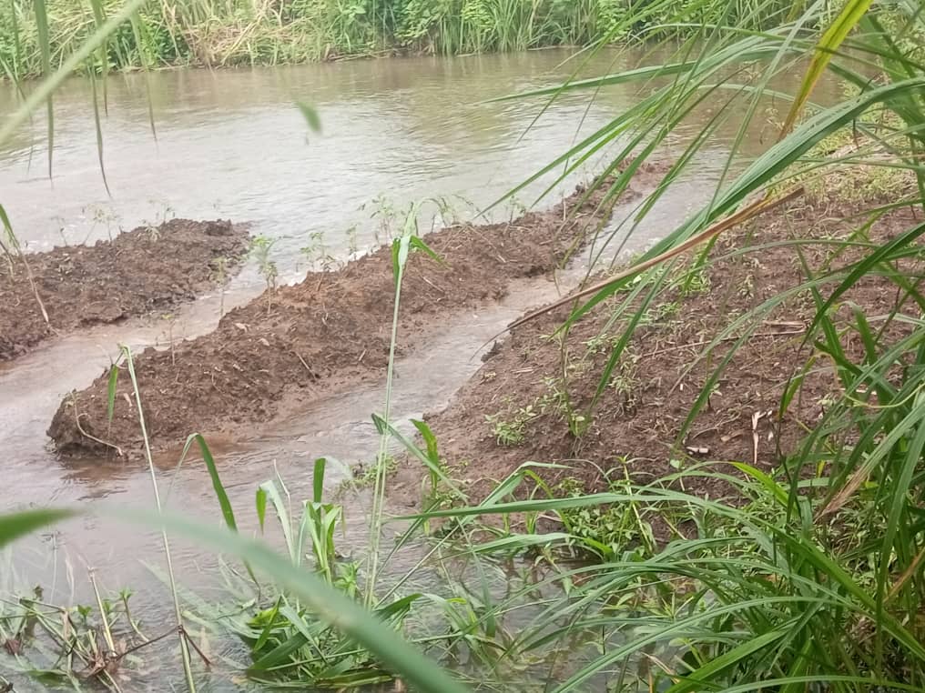 Mbanza-Ngungu : à Nkolo, des champs sous les eaux après une pluie torrentielle 3 IMG 20240423 WA0125