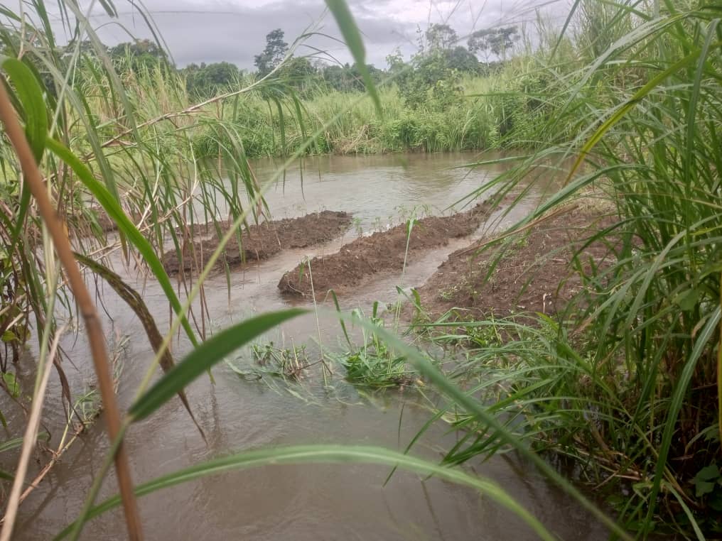 Mbanza-Ngungu : à Nkolo, des champs sous les eaux après une pluie torrentielle 2 IMG 20240423 WA0127