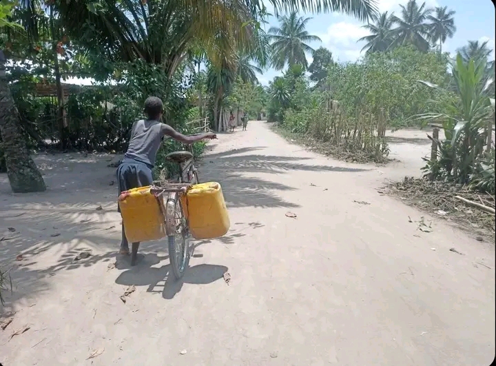 Kongo Central : pénurie d'eau potable à Lukula 1 IMG 20241101 WA0178